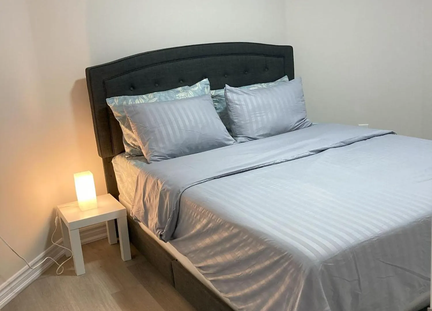 Brand New, Cozy 2 Bdrm Bsmnt Apt Mississauga Apartment
